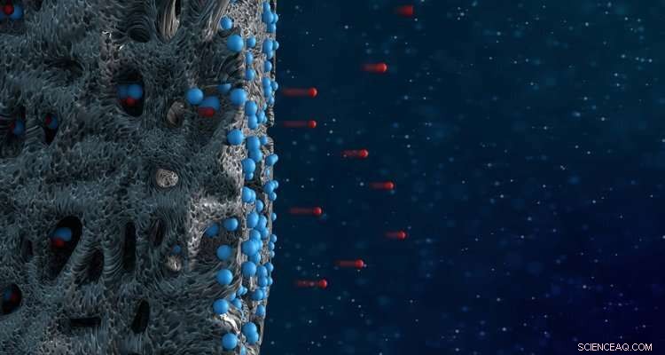 Innovative Technique for Efficiently Removing Persistent Ions from Seawater