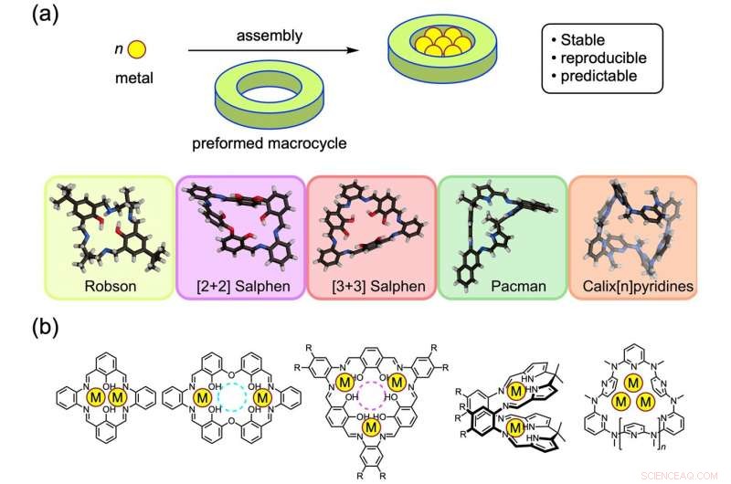 Polymetallic Complexes Derived from Macrocyclic Precursors