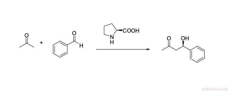 Nobel Prize Awarded for Innovative, Greener Approach to Molecule Construction