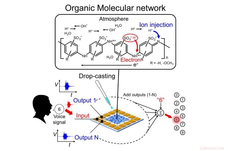 Emergent Intelligence in Random Polymer Networks: A New Frontier in Reservoir Computing
