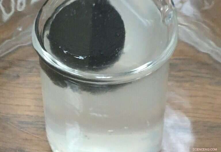 Hydrogel Tablet Cleans 1 Liter of River Water in Just One Hour—Zero Energy, Zero Byproducts