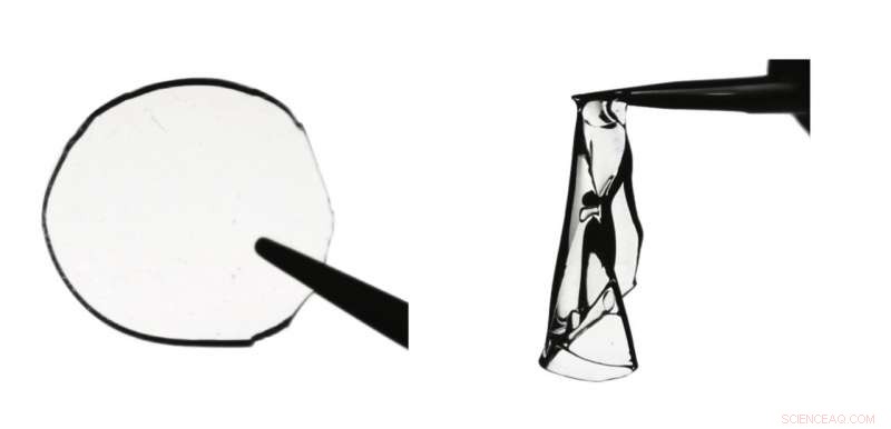 New Elastic Polymer Achieves Unprecedented Stiffness and Toughness, Solving a Decades-Old Challenge