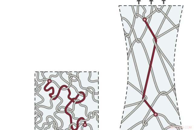 New Elastic Polymer Achieves Unprecedented Stiffness and Toughness, Solving a Decades-Old Challenge
