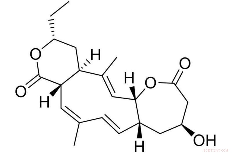Novel Collinolactone Compound Protects Neurons from Degeneration