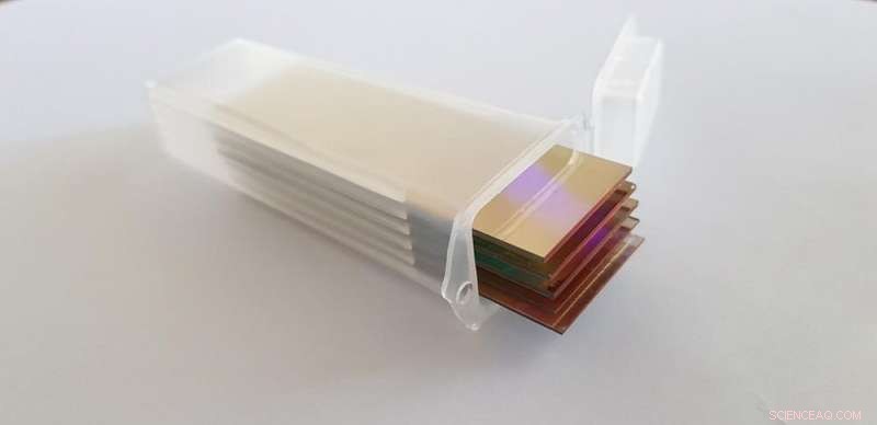 Revolutionary Color‑Revealing Microscope Slide Enhances Cancer Diagnosis