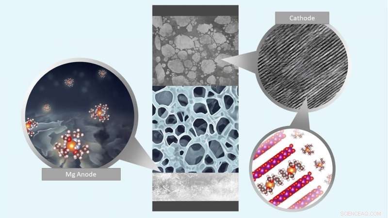 Revolutionizing Divalent Metal Batteries: A Proven Electrolyte Design Strategy