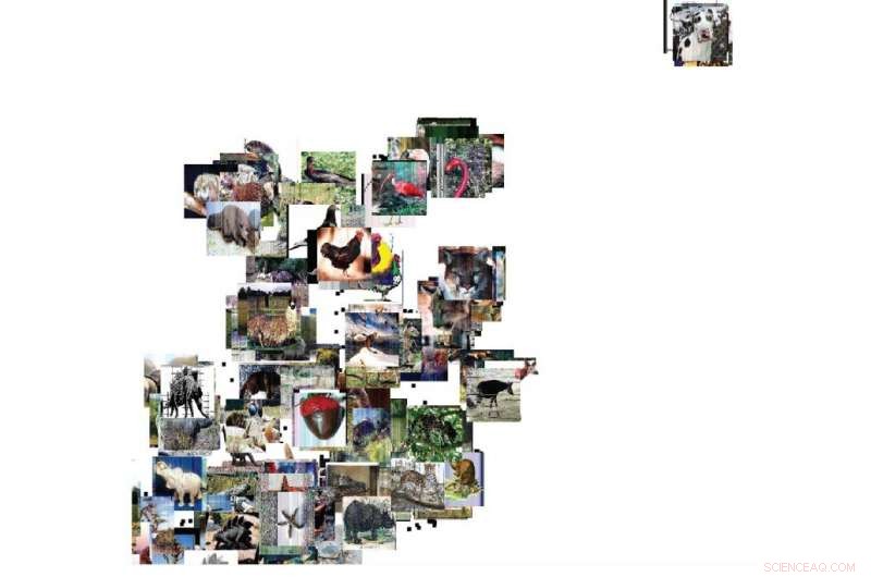 Revolutionary Neural Network Accelerates Symmetry Analysis in Materials Research