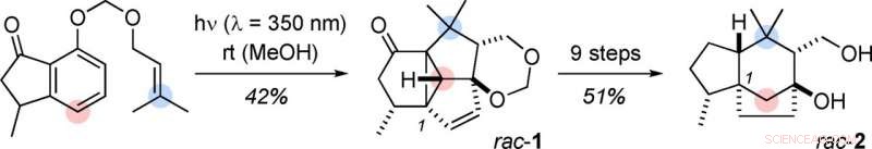 German Researchers Achieve First Total Synthesis of Agarozizanol B, a Key Agarwood Sesquiterpene
