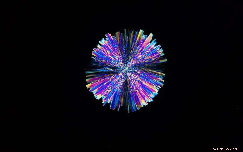 NYU Chemists Discover Faster-Acting Crystal Forms of Imidacloprid