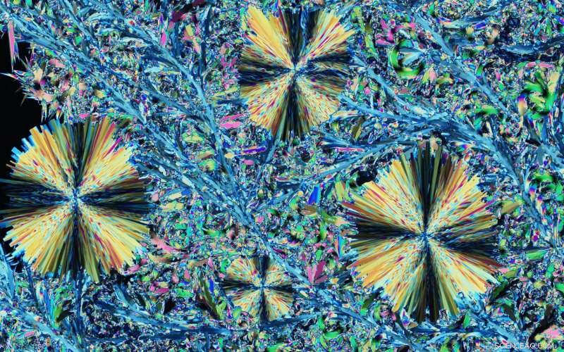 NYU Chemists Discover Faster-Acting Crystal Forms of Imidacloprid