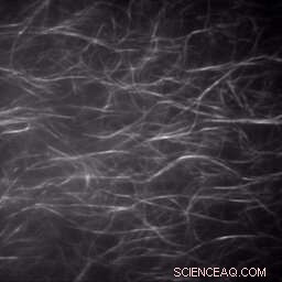 Light-Powered Synthetic Fibers Enable Long-Distance Molecular Transport