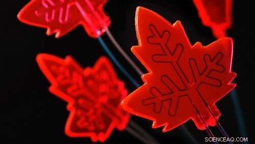 Amsterdam Scientists Build Fully Solar-Powered Autonomous Chemical Mini-Plant