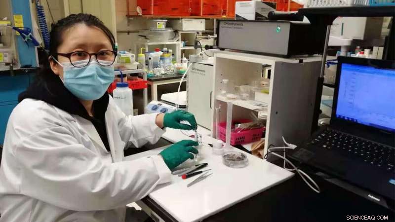 Revolutionary Saliva-Based, Non-Invasive Blood Sugar Testing