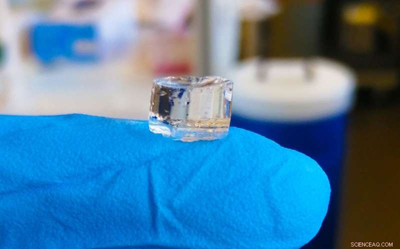 Antibiotic-Free Gel Targets Drug-Resistant Bacteria, Boosting the Body’s Natural Immunity