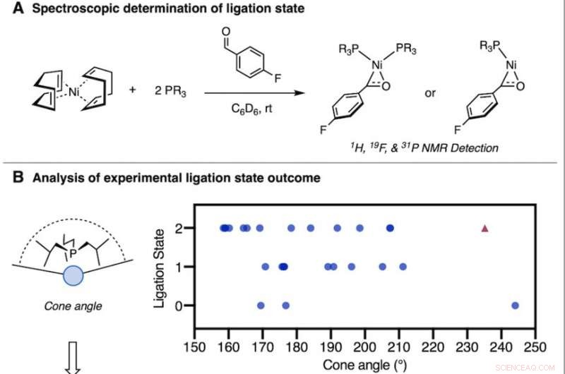 Predicting Phosphine Reactivity with a Single Simple Metric