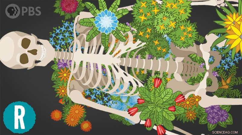 Video: Are Human Burial Practices Threatening Earth s Ecosystems?