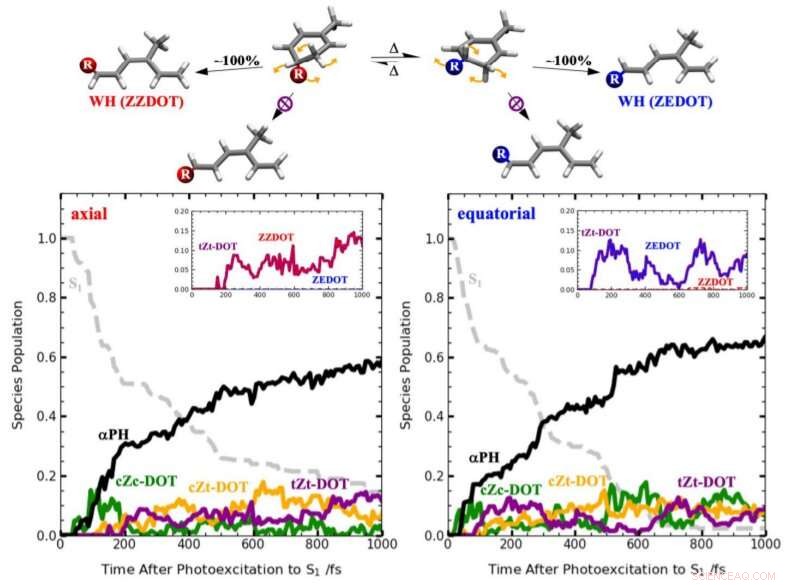 Rule-Adhering Molecules Deliver First Direct Confirmation of a 50-Year-Old Chemical Theory