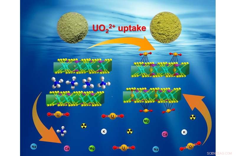 Ammonium-Intercalated Layered MnPS₃ Enables Rapid Uranium(VI) Uptake
