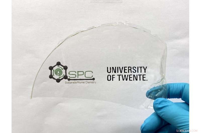 RNA‑Inspired Breakpoints: PLA That Degrades Faster in Seawater, Cutting Plastic Pollution