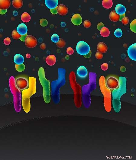 Decoding Cellular Communication: How Cells Transmit Signals