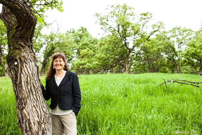 American Oaks Trace Back to a Single Northern Ancestor