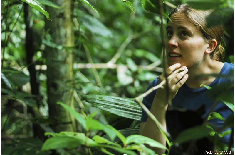 Scientists Unveil Molecular Mechanism Behind Ants Protecting Plants