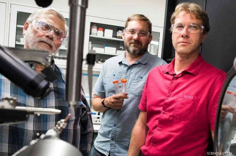 New Research Highlights Enzymes Key to Advancing Biofuel Production