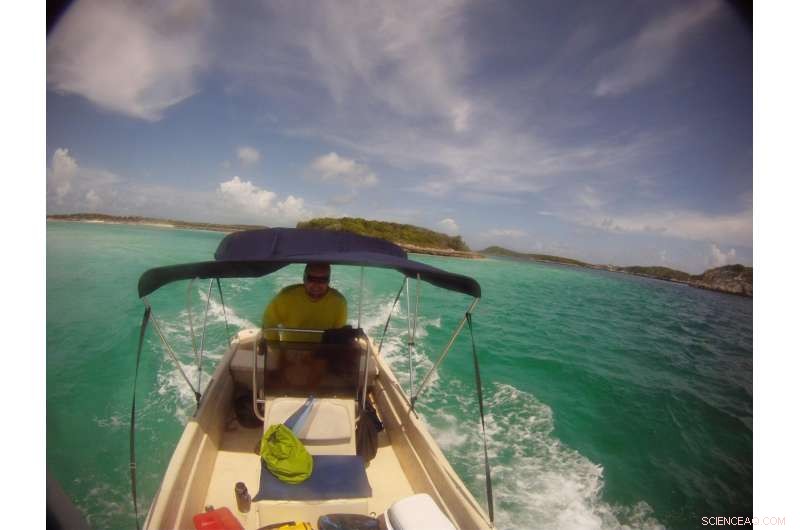 Fragmented Queen Conch Decline Transforms Conservation Efforts