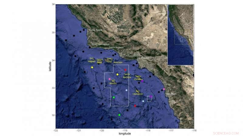Protected Waters Drive Recovery of West Coast Rockfish Populations
