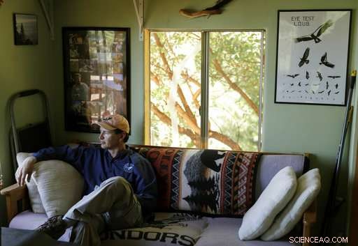 California Condors Soar Again: A Triumph Over Near Extinction