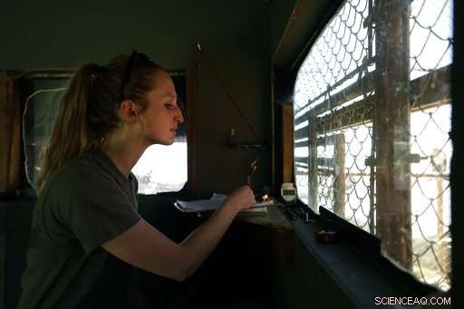 California Condors Soar Again: A Triumph Over Near Extinction