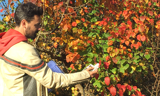 Adapting to Variable Temperatures: Strategies for a Stable Vegetation Cycle