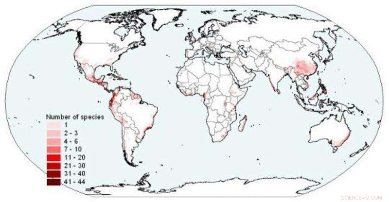 Urgent Action Needed: Battling a Deadly Fungus Threatening Amphibians