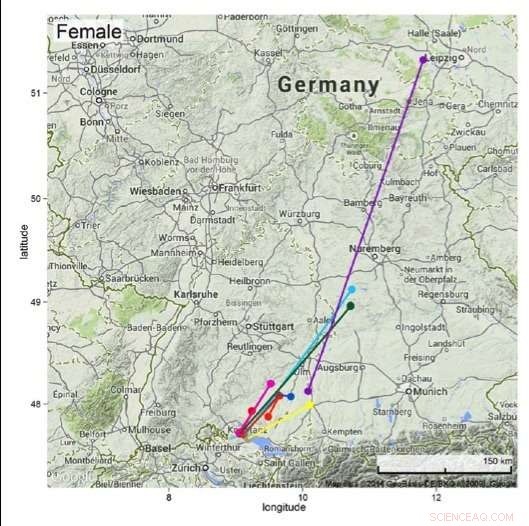 Bats Predict Weather to Optimize Flight Paths