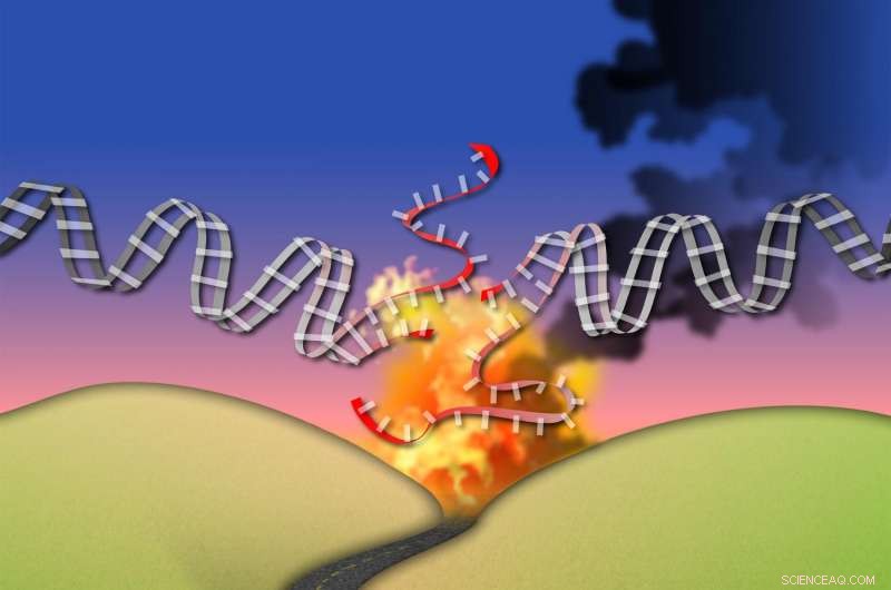 How CYREN Guides Precise DNA Repair and Prevents Cancer