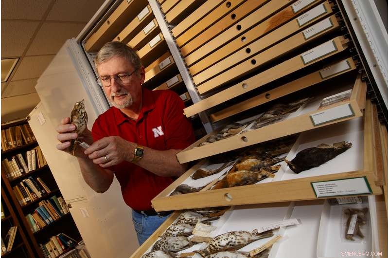 New Study Shows Last Ice Age May Have Halted Bird Migration