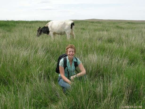 QUT, NSW Farmers, and Government Join Forces to Eradicate African Lovegrass