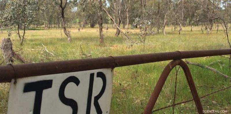Assessing Historic Stock Routes Risks to Rare Native Flora and Fauna
