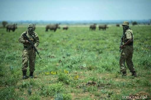 Poaching in Africa Escalates to War-Like Levels, Task Force Urges Urgent Action