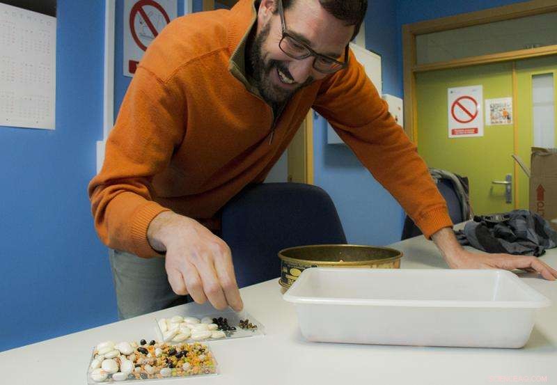 New Universal Laws Reveal How Seed Size Shapes Plant Biology