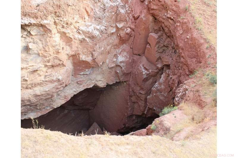 New Species Unearthed in Turkmenistan s Kaptarhana Cave