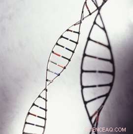 New DNA Insights May Uncover Causes of Rare Childhood Disorder