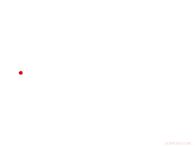 Scientists Uncover Elegant Simplicity Behind Tissue Branching Patterns