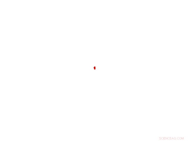 Scientists Uncover Elegant Simplicity Behind Tissue Branching Patterns