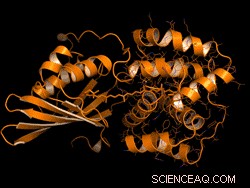 Reactivating Evolutionary Light-Sensitive Protein for Medical Breakthroughs