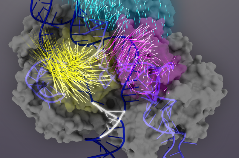 New Discovery Enhances CRISPR‑Cas9 Gene‑Editing Precision