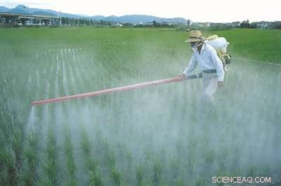 Pesticide Vigilance: Advancing Safety Through Scientific Insight