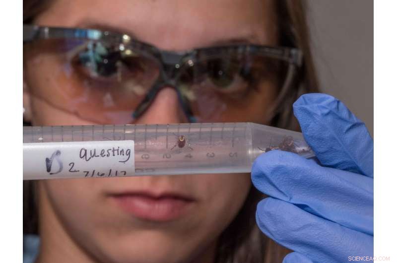 Midwest Researchers Launch Field Study to Curb Tick-Borne Illness Spread