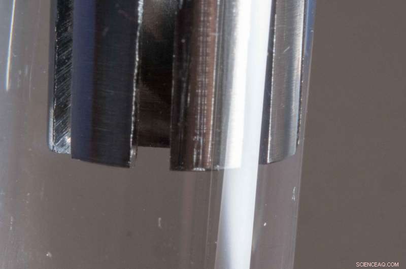 Midwest Researchers Launch Field Study to Curb Tick-Borne Illness Spread