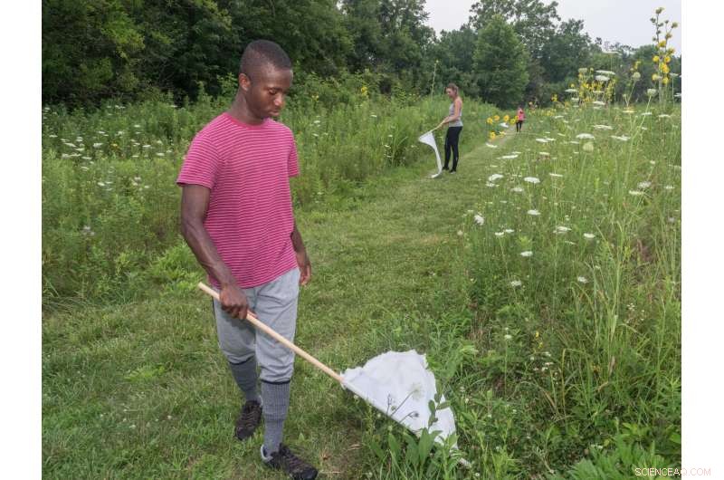 Midwest Researchers Launch Field Study to Curb Tick-Borne Illness Spread